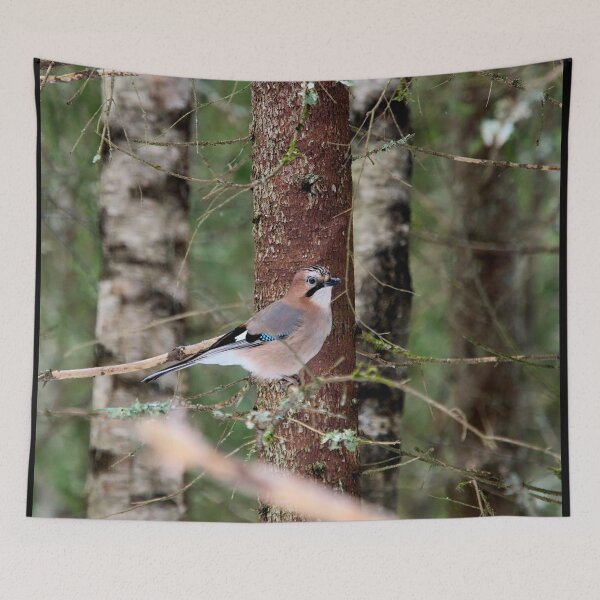 Item preview, From the forest. Eurasian jay designed and sold by Jouko Lehto Photography.