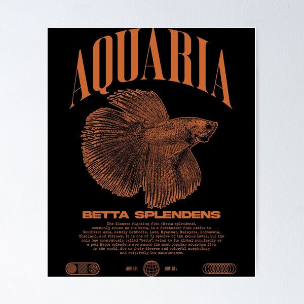 Item preview, Betta Fish Keeper Modern Streetwear designed and sold by JRRTs.