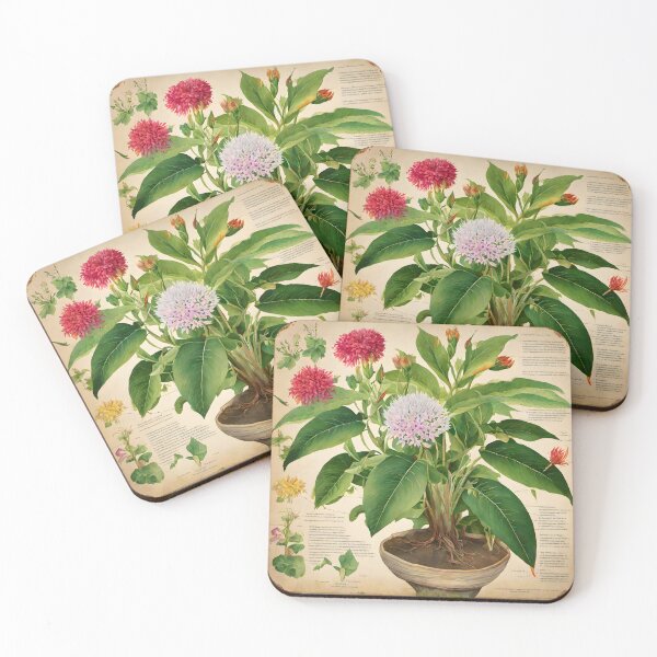 Item preview, Botanical Drawing 20 designed and sold by FeatheredWolf.