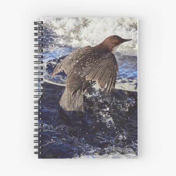 Item preview, Up from the cold bath. White-throated dipper designed and sold by Jouko Lehto Photography.