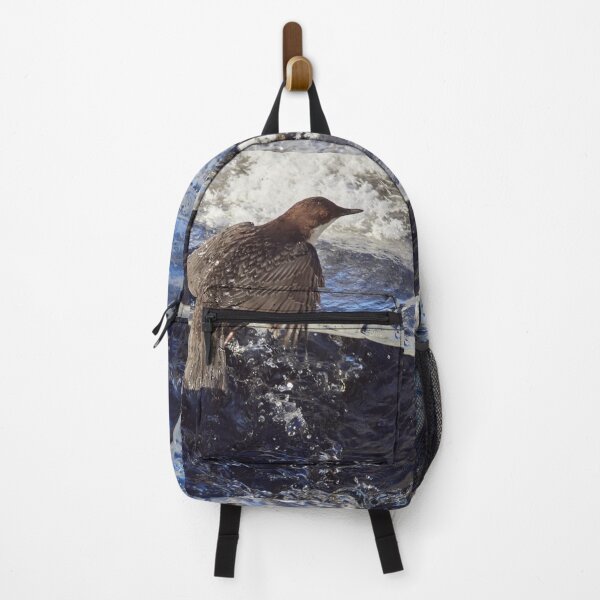 Item preview, Up from the cold bath. White-throated dipper designed and sold by Jouko Lehto Photography.