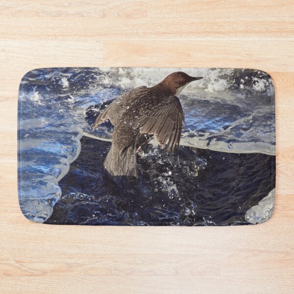 Item preview, Up from the cold bath. White-throated dipper designed and sold by Jouko Lehto Photography.