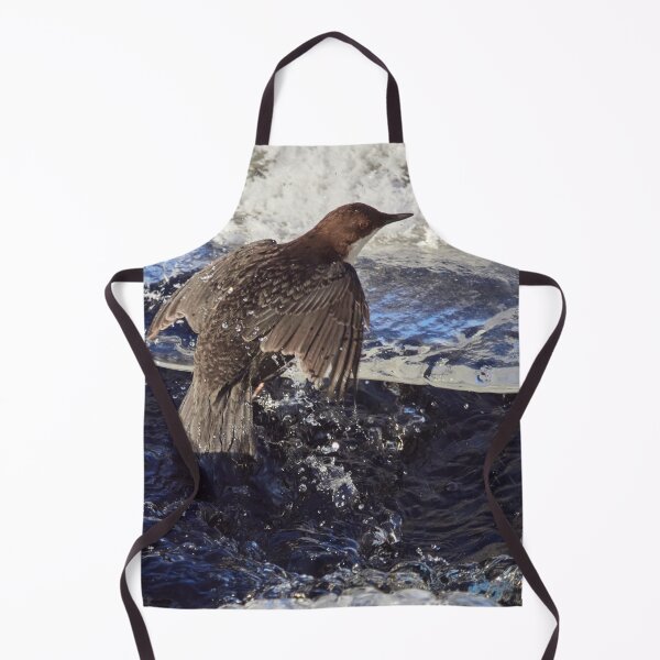 Item preview, Up from the cold bath. White-throated dipper designed and sold by Jouko Lehto Photography.