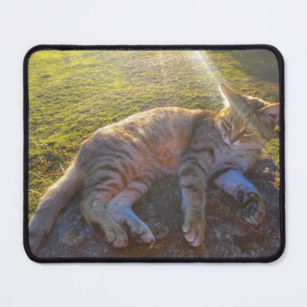 Item preview, Striped cat designed and sold by FloralCottage.