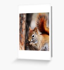 Breakfast Greeting Card