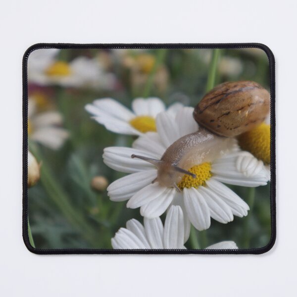 Aperçu de l'œuvre Escargot sur une marguerite créée et vendue par mathilde3333.