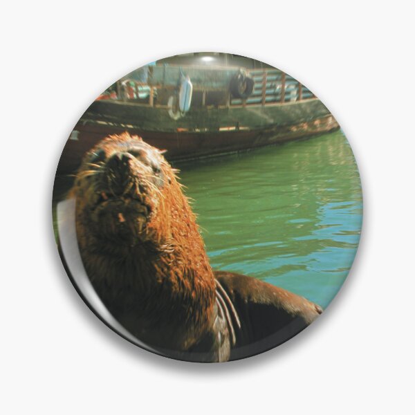 Item preview, Toy Camera: Old Sealion designed and sold by IbereRomani.
