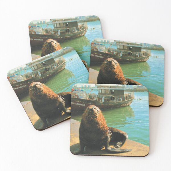 Item preview, Toy Camera: Old Sealion designed and sold by IbereRomani.