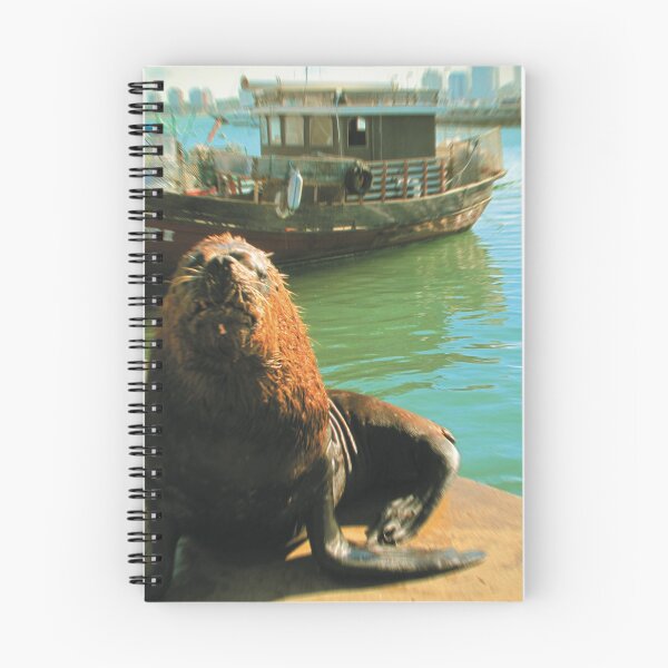 Item preview, Toy Camera: Old Sealion designed and sold by IbereRomani.
