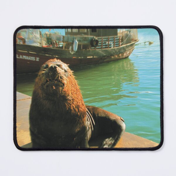 Item preview, Toy Camera: Old Sealion designed and sold by IbereRomani.