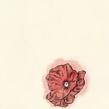 Artwork thumbnail, Red Poppy by Creative Rafa