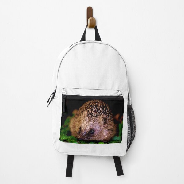 Artikelvorschau, Igel #1 entworfen und verkauft von KingdomWildlife.