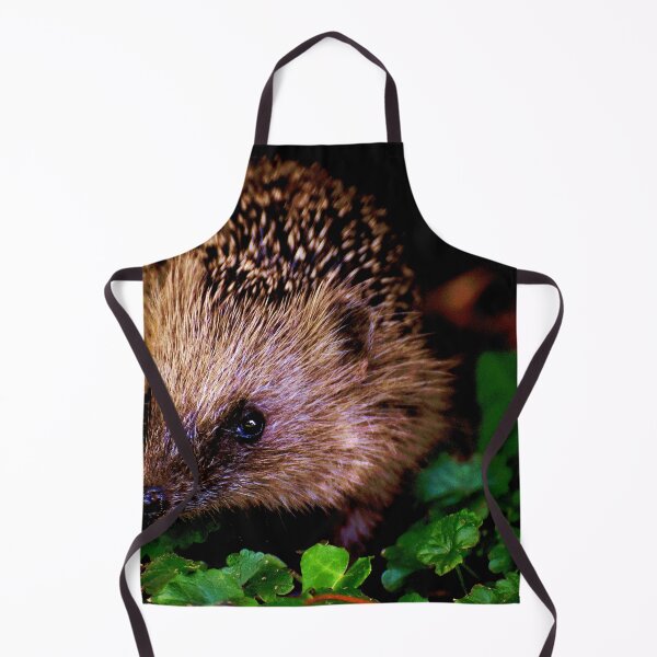 Artikelvorschau, Igel #1 entworfen und verkauft von KingdomWildlife.