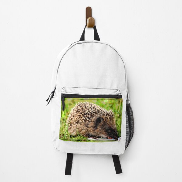 Artikelvorschau, Igel #2 entworfen und verkauft von KingdomWildlife.