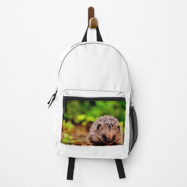 Artikelvorschau, Igel #3 entworfen und verkauft von KingdomWildlife.