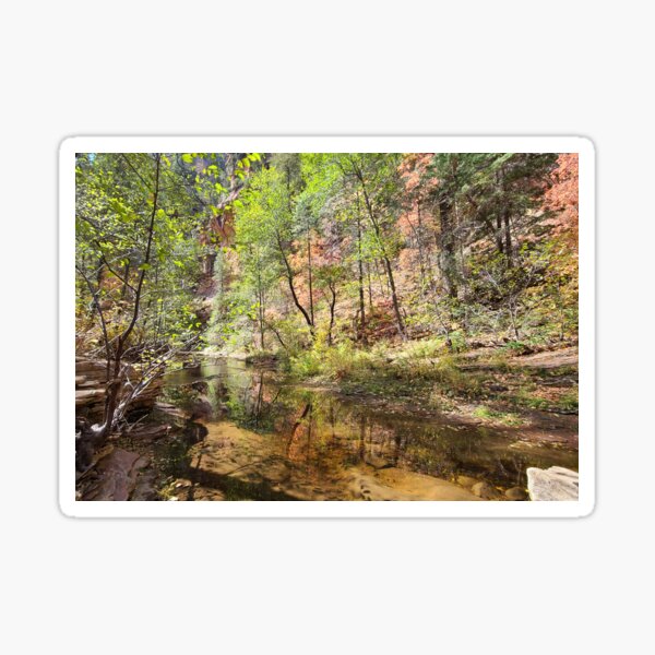 W. Fork Oak Creek Trail Sedona 2, no logo, CelebratingChrist.com, ccnow.info Sticker