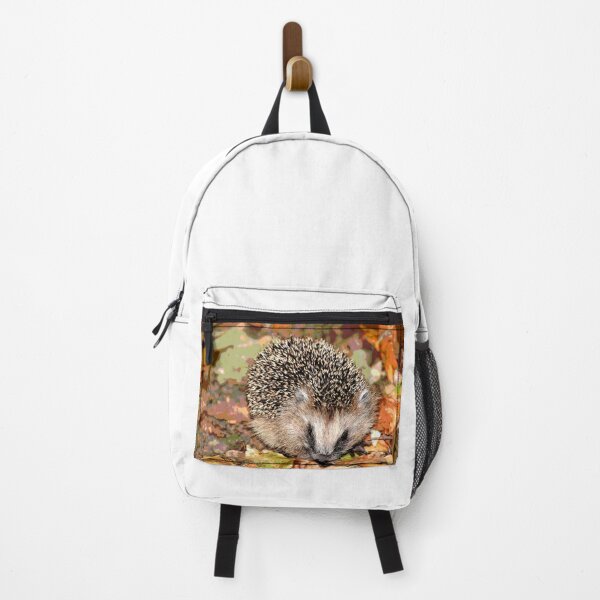 Artikelvorschau, Igel #4 entworfen und verkauft von KingdomWildlife.