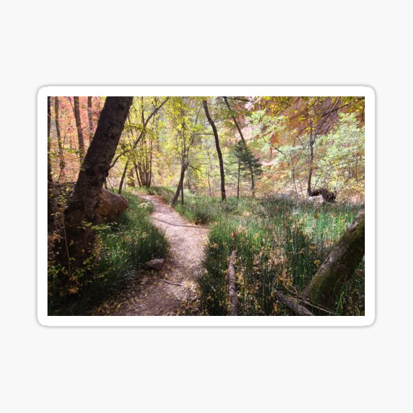 W. Fork Oak Creek Trail Sedona 3, no logo, CelebratingChrist.com, ccnow.info Sticker