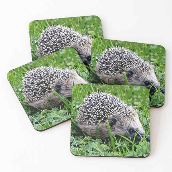 Artikelvorschau, Igel #6 entworfen und verkauft von KingdomWildlife.