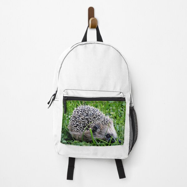Artikelvorschau, Igel #6 entworfen und verkauft von KingdomWildlife.