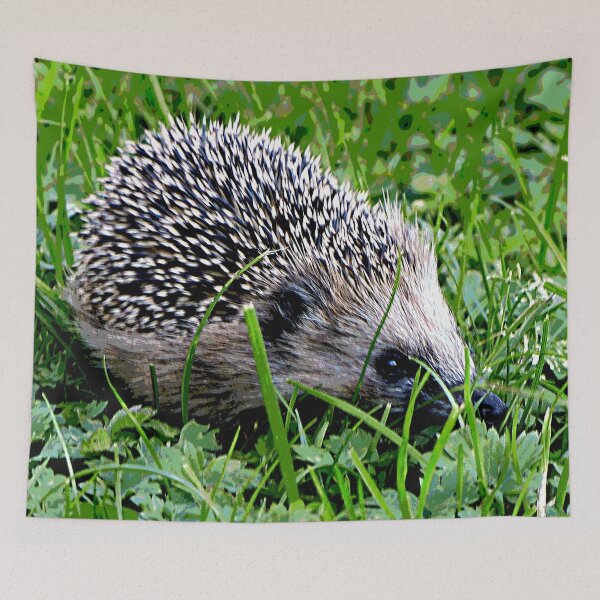 Artikelvorschau, Igel #6 entworfen und verkauft von KingdomWildlife.