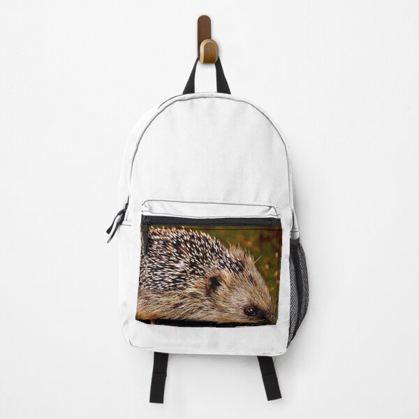 Artikelvorschau, Igel #8 entworfen und verkauft von KingdomWildlife.