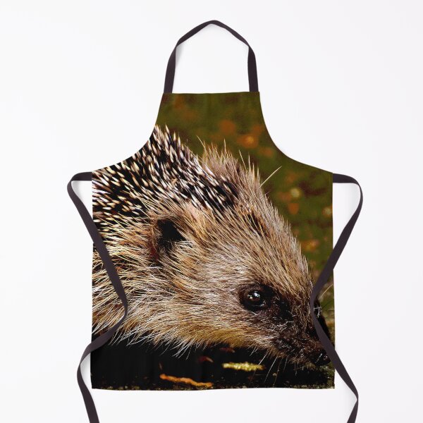 Artikelvorschau, Igel #8 entworfen und verkauft von KingdomWildlife.