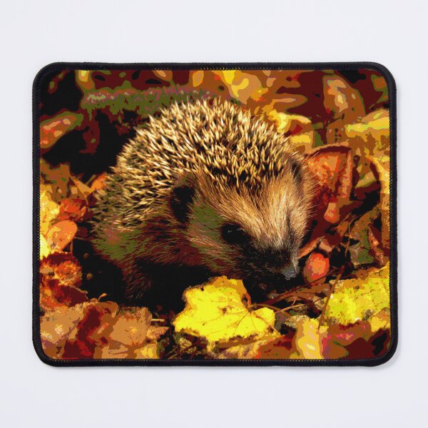 Item preview, Hedgehog #9 designed and sold by KingdomWildlife.