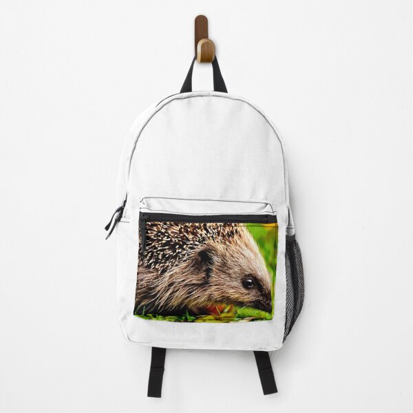 Artikelvorschau, Igel #10 entworfen und verkauft von KingdomWildlife.