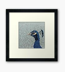 As Proud As A Peacock Framed Print