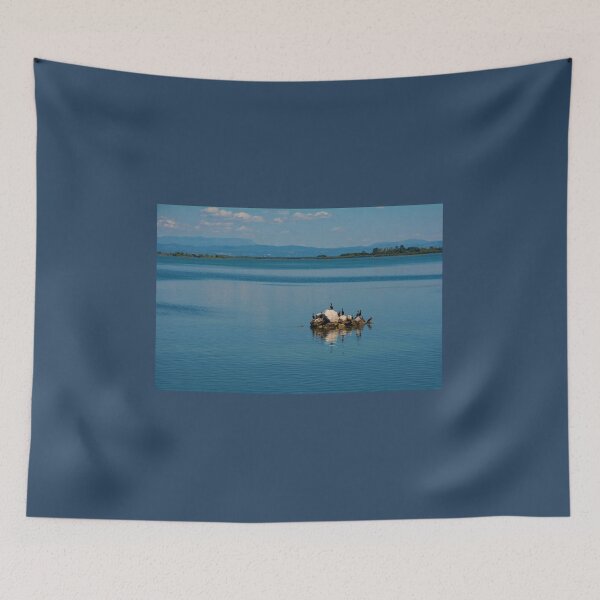 Item preview, Cormorants in Grado Lagoon, Italy designed and sold by jojobob.