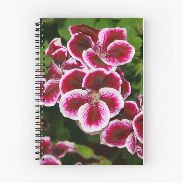 Item preview, Raspberry Ripple designed and sold by RedHillDigital.
