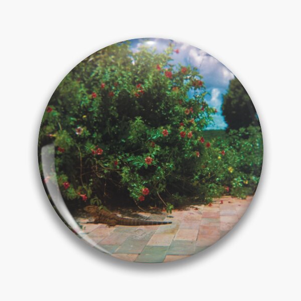 Item preview, Toy Camera: lizard in the pool designed and sold by IbereRomani.
