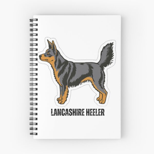 Artikelvorschau, Lancashire Heeler entworfen und verkauft von Zibis09.