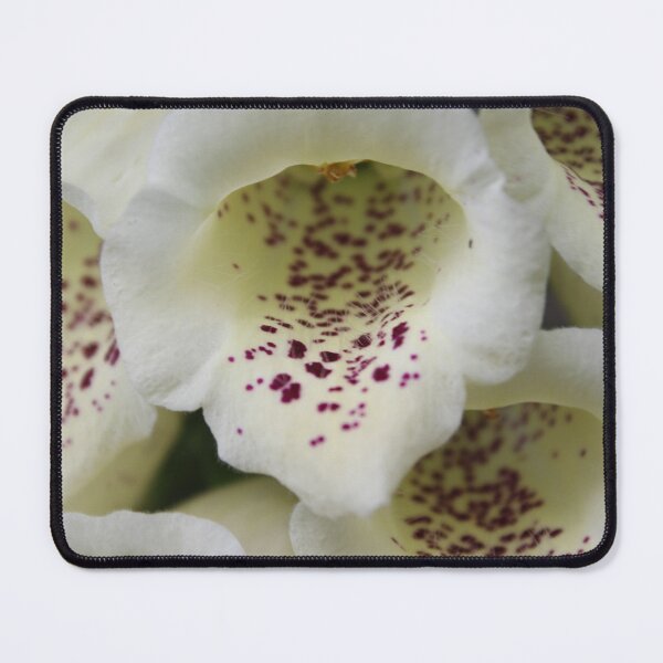 Item preview, Common Foxglove (Digitalis purpurea) designed and sold by Scienceartistic.