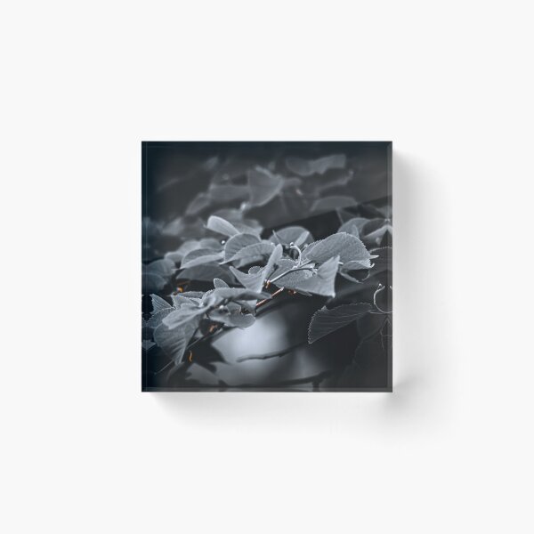 Item preview, Nature creates art designed and sold by Golub-Bella.