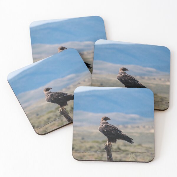 Item preview, Golden Eagle on Fencepost, Utah designed and sold by Grace Caroline.