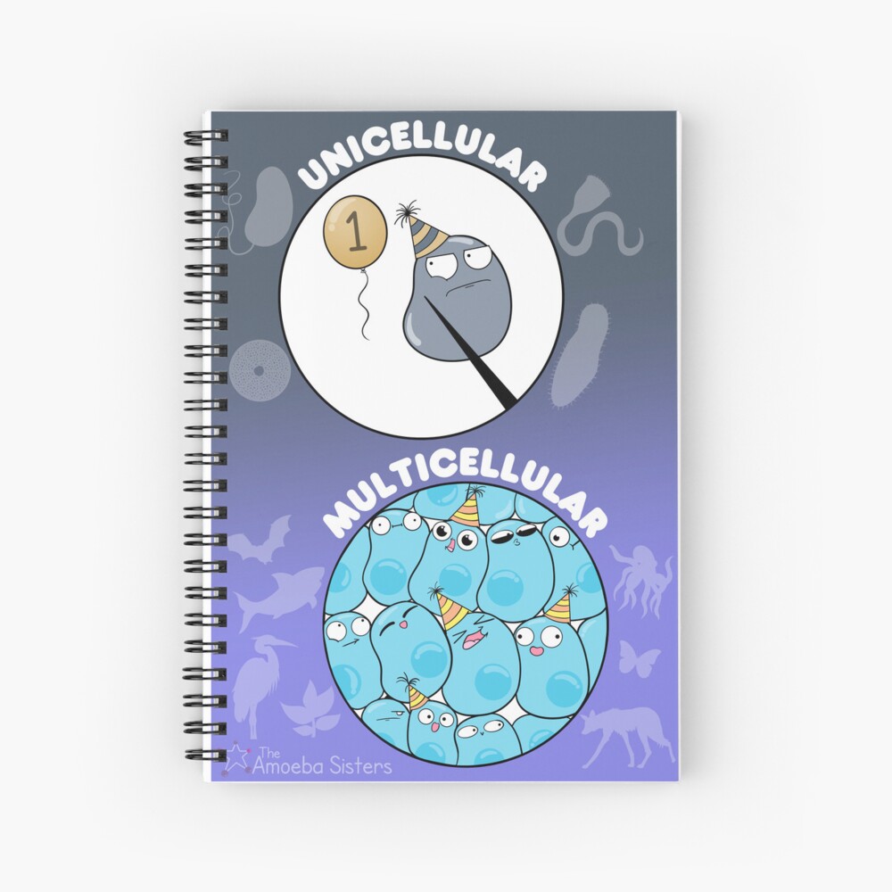 Item preview, Spiral Notebook designed and sold by amoebasisters.