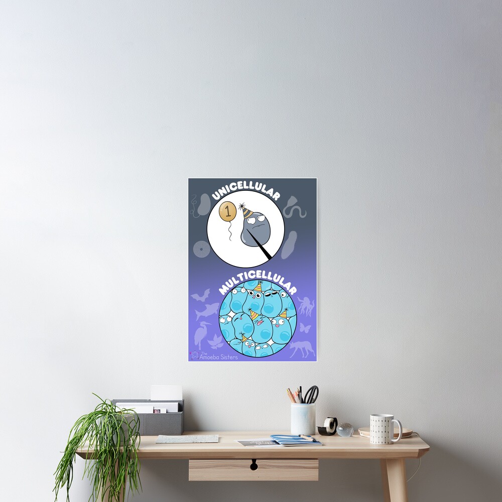 Item preview, Poster designed and sold by amoebasisters.
