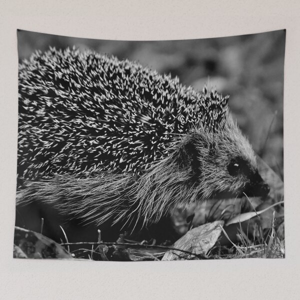 Artikelvorschau, Schwarz-weißer Igel #11 entworfen und verkauft von KingdomWildlife.
