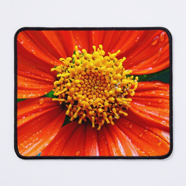 Item preview, Fiesta Time designed and sold by Debbie Oppermann.