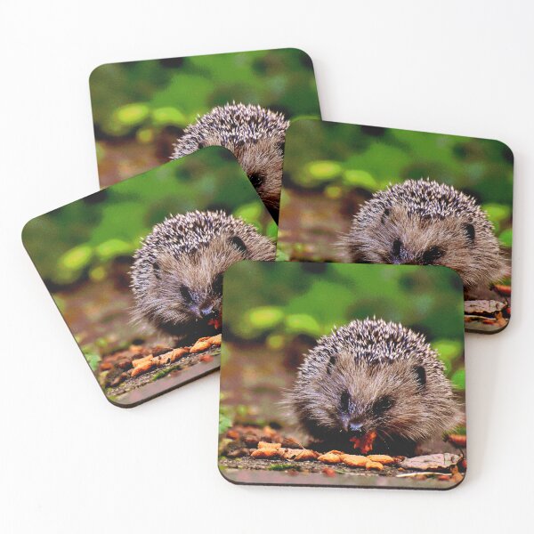 Item preview, Hedgehog #12 designed and sold by KingdomWildlife.