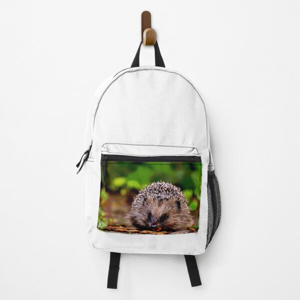 Item preview, Hedgehog #12 designed and sold by KingdomWildlife.
