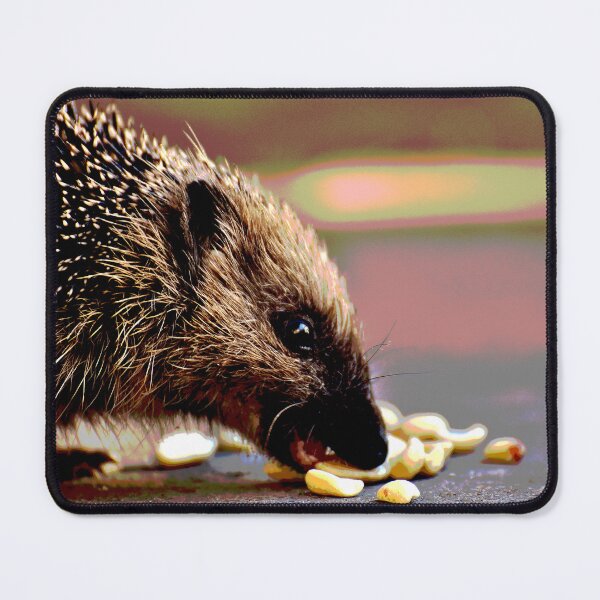 Item preview, Hedgehog #15 designed and sold by KingdomWildlife.