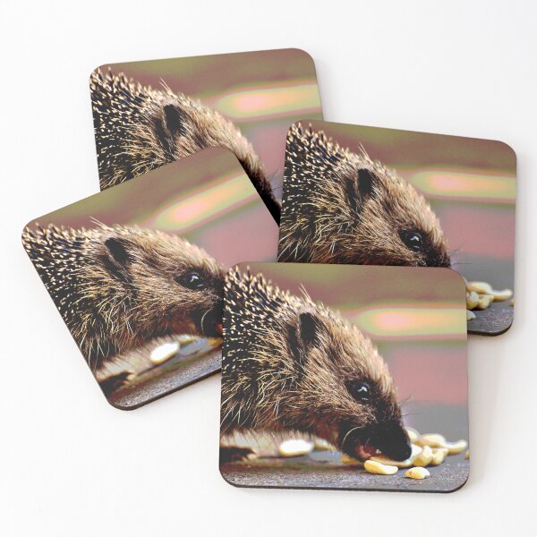 Item preview, Hedgehog #15 designed and sold by KingdomWildlife.