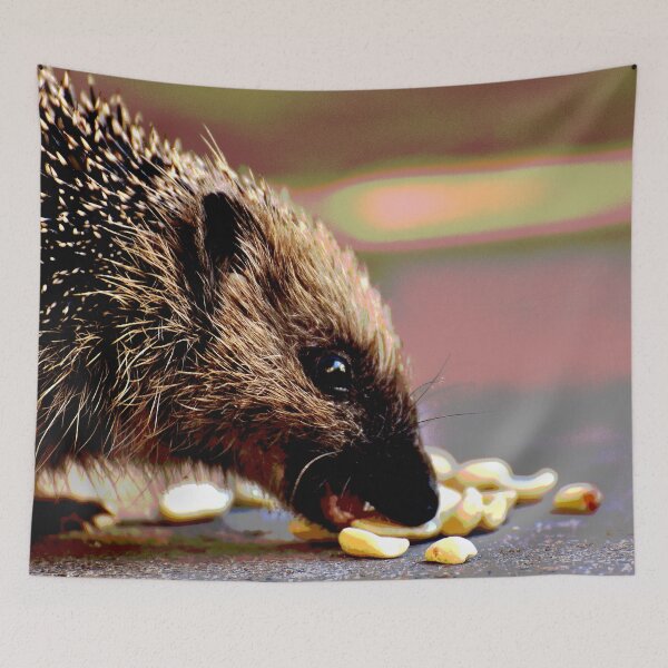 Item preview, Hedgehog #15 designed and sold by KingdomWildlife.