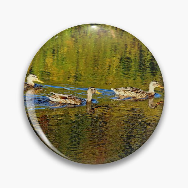 Item preview, Autumn Feathers And Rippled Reflections designed and sold by Debbie Oppermann.