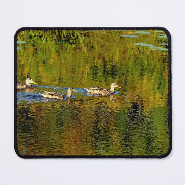 Item preview, Autumn Feathers And Rippled Reflections designed and sold by Debbie Oppermann.