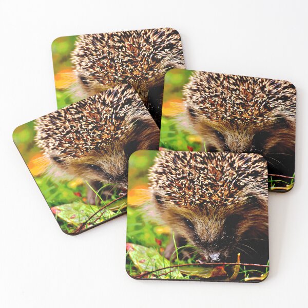 Item preview, Hedgehog #17 designed and sold by KingdomWildlife.