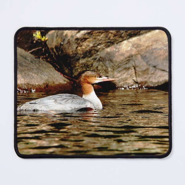 Item preview, Cinnamon designed and sold by Debbie Oppermann.